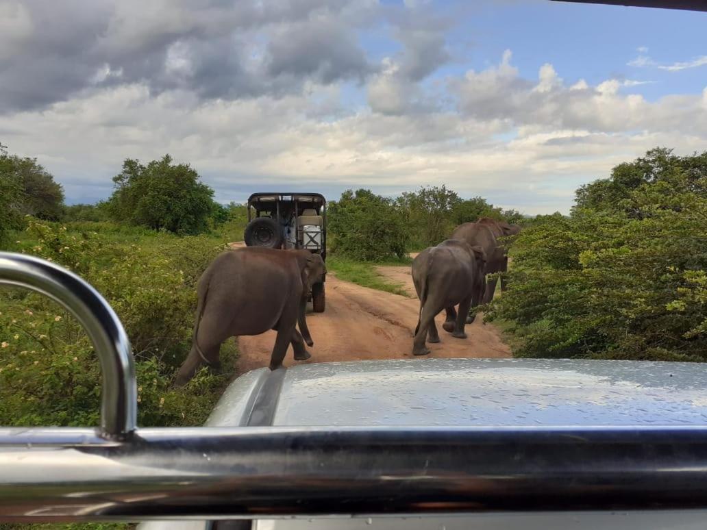 Elephant Lodge Удавалаве Экстерьер фото