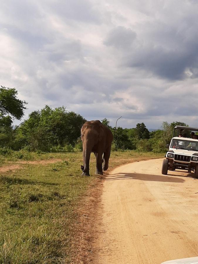 Elephant Lodge Удавалаве Экстерьер фото